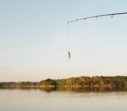 Phishing et cyber-securite des donnees